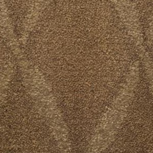stainmaster trusoft top sail heritage carpet