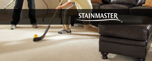 Stainmaster Active Family Carpet