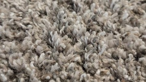 Why Homeowners Love Mohawk’s Artistic Allure Carpet in Antique Ice